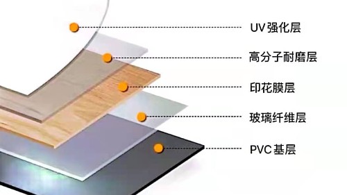 博凱、大巨龍PVC復合地板剖析