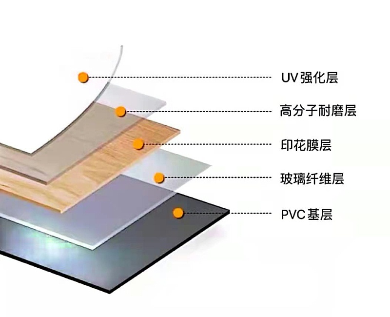 pvc地板解剖圖